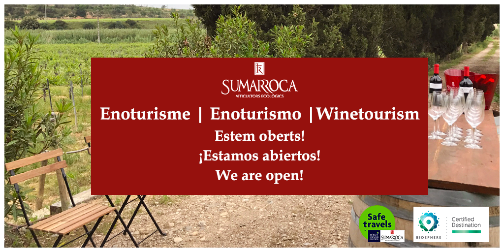 Club Sumarroca - Black Friday